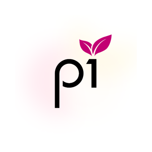 Pi - pi ka Hisab Logo